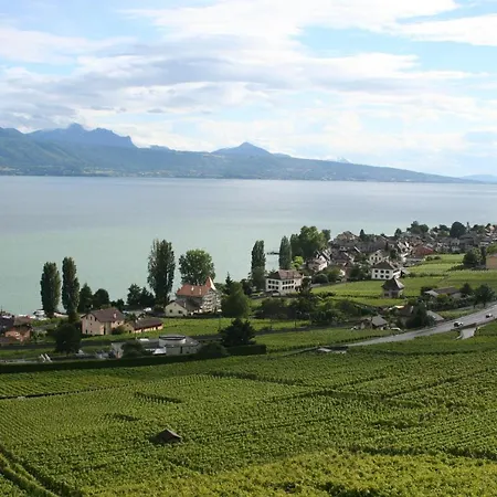 Cave De Moratel Maison d'hôtes Cully